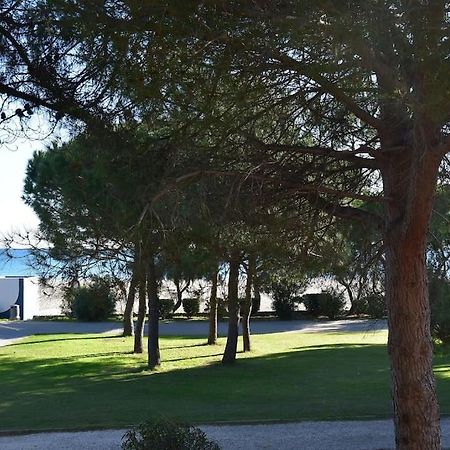 Plage dʼArgelès Le Byblos 9 - Vue Mer - Climatisation מראה חיצוני תמונה