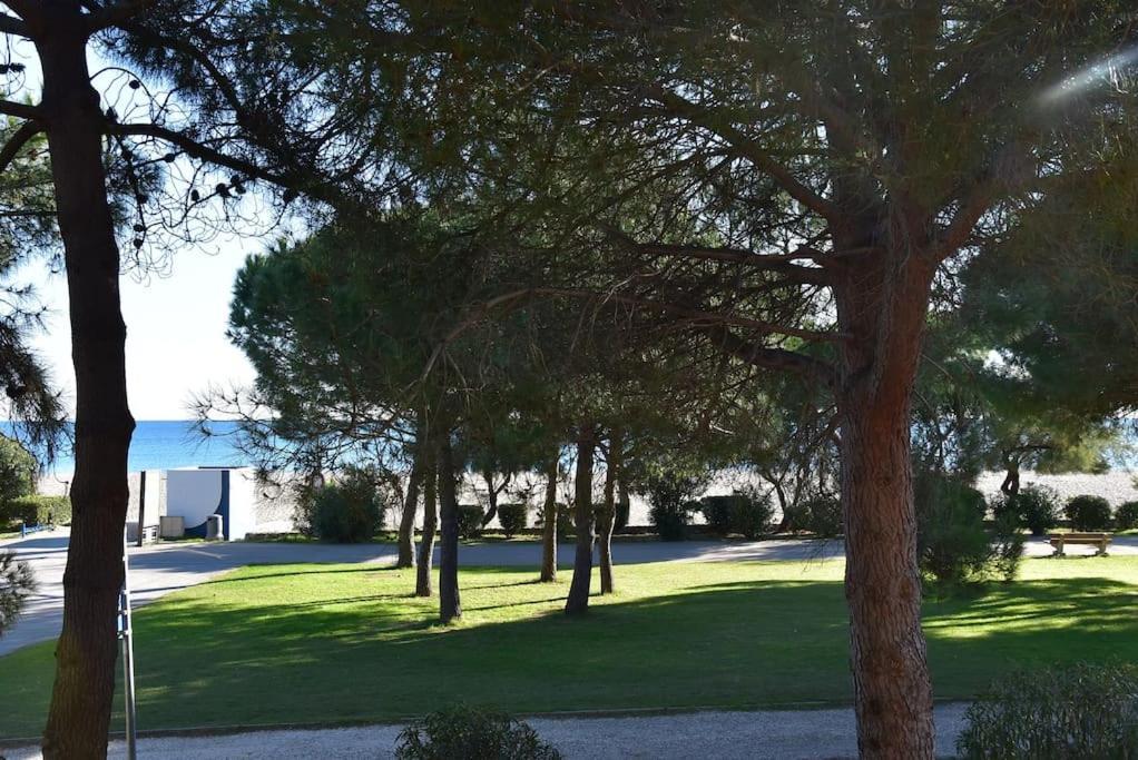 Plage dʼArgelès Le Byblos 9 - Vue Mer - Climatisation מראה חיצוני תמונה